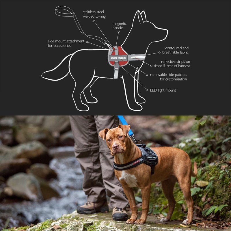 EzyDog Convert Dog Harness â€“ Trail-Ready Rugged Harness for Walking, Hiking & Outdoors with Reflective Piping, Badge Attachment Points, Traffic Handle, & Comfort Lining (X-Large, Charcoal) - Image 3